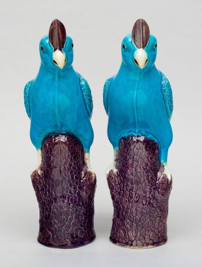 Pair Chinese Turquoise Cockatoos