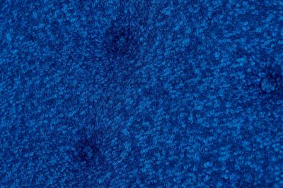 Pair Dunbar Lounge Slipper Chairs by Edward Wormley 1960