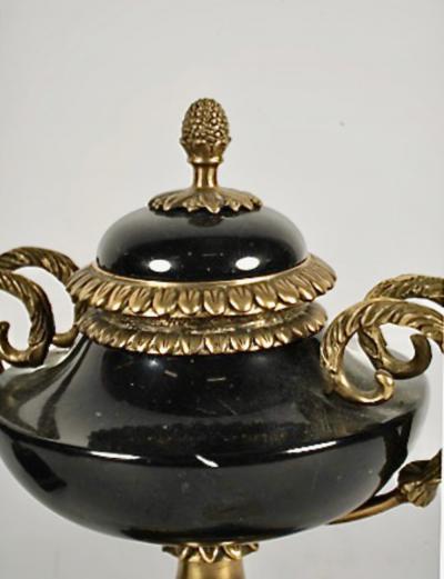 Pair French Marble and Bronze Covered Urns or Gernitures