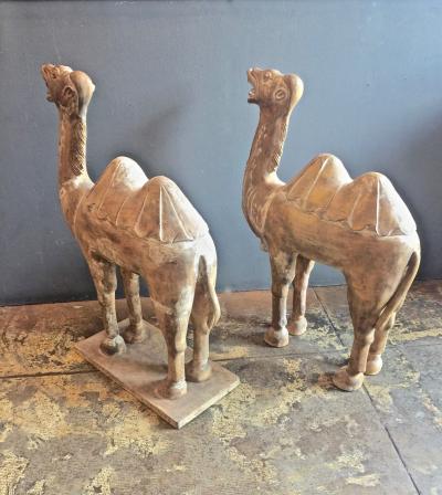 Pair Large Antique Chinese Tang Style Carved Camels