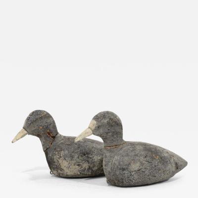 Pair Late 19th Century French Decoys Cork Coots