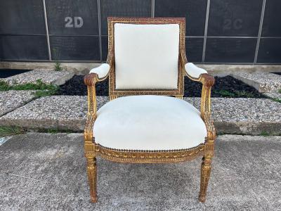 Pair Of 19th Century Italian Louis XVI Style Giltwood Chairs