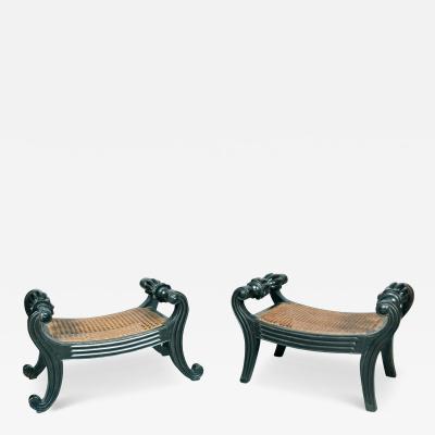 Pair Of Anglo Indian Ebony Footstools