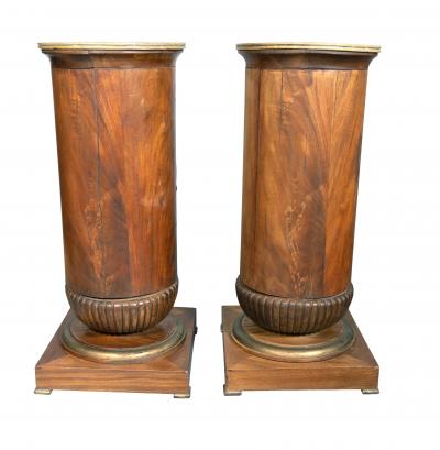 Pair Of Charles X Mahogany Pedestal Cabinets