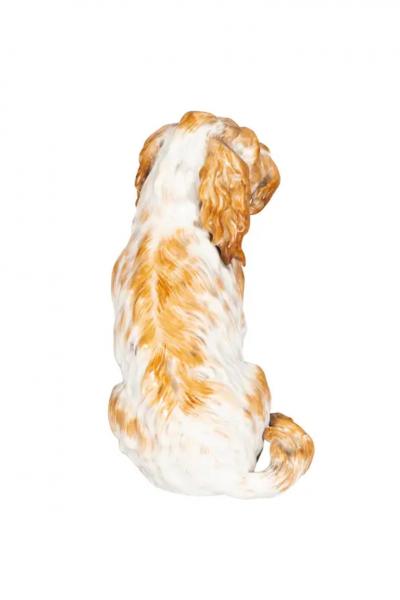Pair Of European Porcelain Figures Of Spaniels