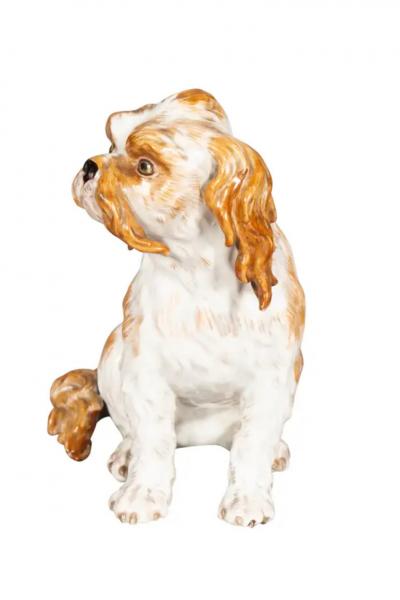 Pair Of European Porcelain Figures Of Spaniels