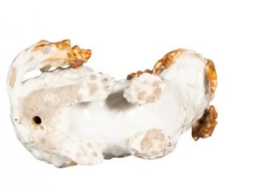 Pair Of European Porcelain Figures Of Spaniels