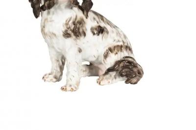 Pair Of European Porcelain Figures Of Spaniels