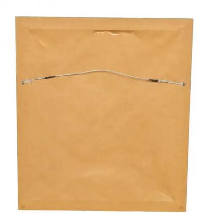 Pair Of Hand Colored Engravings Of Moths