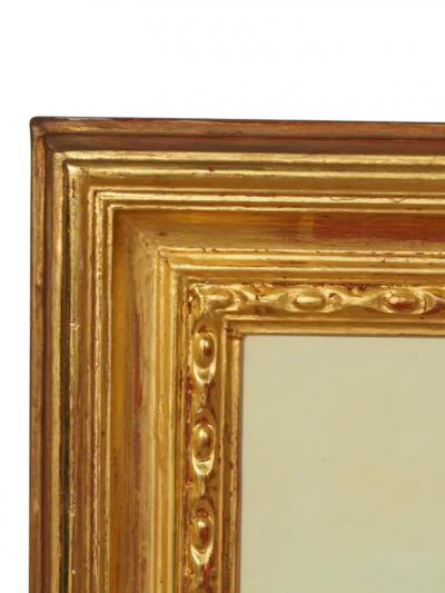 Pair Of Hand Colored Engravings Of Parrots