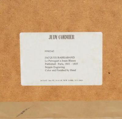 Pair Of Hand Colored Engravings Of Parrots