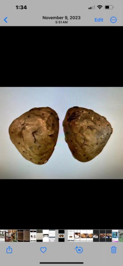 Pair Of Italian Brutalist Bronze Sconces