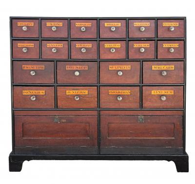 Pair Of Large English Faux Bois Apothecary Chests