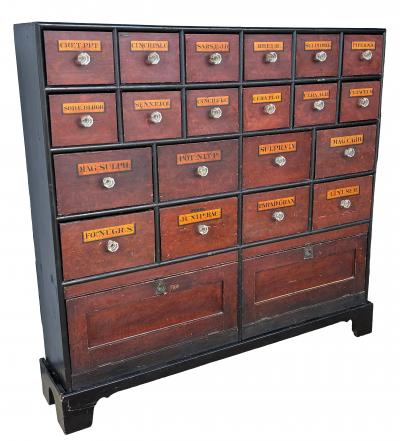 Pair Of Large English Faux Bois Apothecary Chests