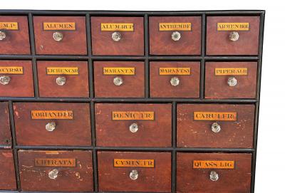 Pair Of Large English Faux Bois Apothecary Chests