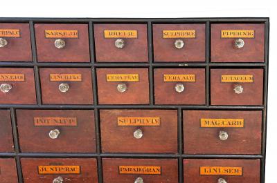 Pair Of Large English Faux Bois Apothecary Chests