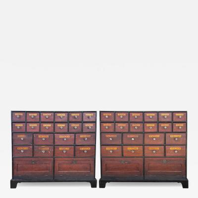 Pair Of Large English Faux Bois Apothecary Chests
