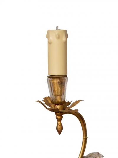 Pair Of Maison Bagues Parrot Form Crystal and Gilt Metal Wall Sconces