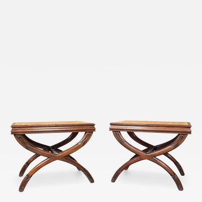 Pair Of Regency Mahogany And Caned Benches