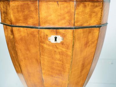 Pair Of Regency Satinwood Urn Form Knife Urns