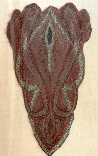 Pair framed Antique Parsley Shaw Fragments