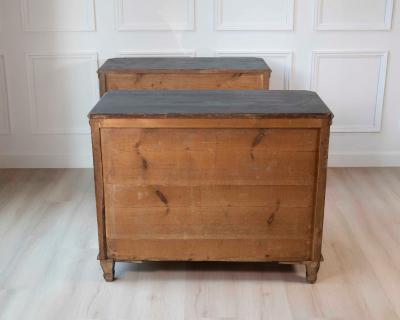 Pair of 19th Century European Chests of Drawers Circa 1880