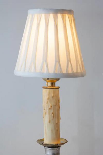 Pair of 19th Century French Lamps