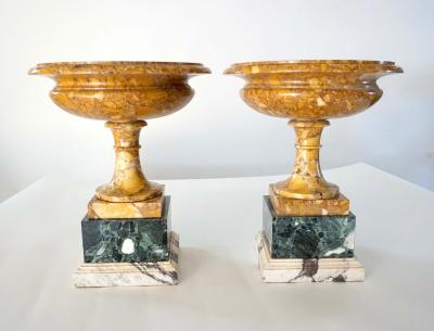 Pair of 19th Century Italian Neoclassical Tazze in Polychrome Marbles