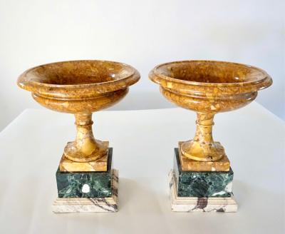 Pair of 19th Century Italian Neoclassical Tazze in Polychrome Marbles