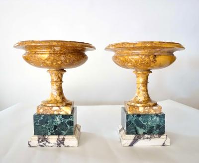 Pair of 19th Century Italian Neoclassical Tazze in Polychrome Marbles