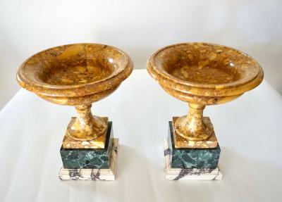 Pair of 19th Century Italian Neoclassical Tazze in Polychrome Marbles