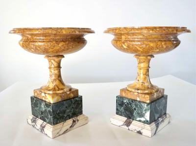 Pair of 19th Century Italian Neoclassical Tazze in Polychrome Marbles