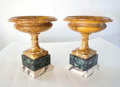 Pair of 19th Century Italian Neoclassical Tazze in Polychrome Marbles