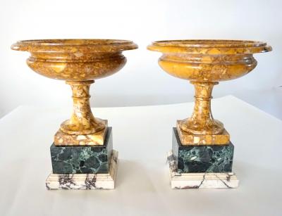 Pair of 19th Century Italian Neoclassical Tazze in Polychrome Marbles