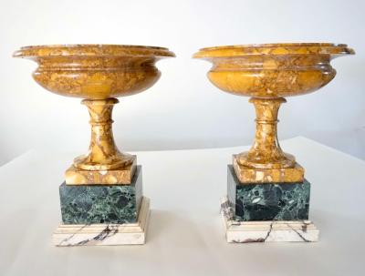 Pair of 19th Century Italian Neoclassical Tazze in Polychrome Marbles