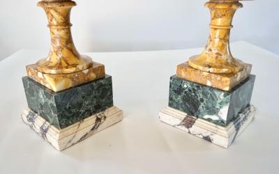 Pair of 19th Century Italian Neoclassical Tazze in Polychrome Marbles