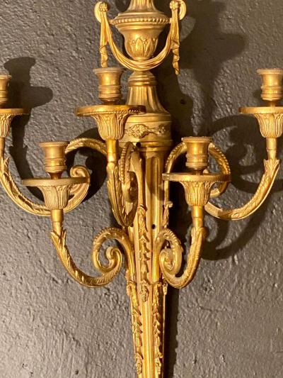 Pair of Adams Style Five Arm Tassel Decorated Dore Bronze Wall Candelabras