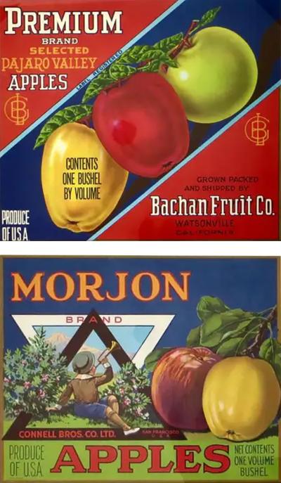 Pair of Authentic California Fruit Crate Labels Featuring Apples Circa 1940s