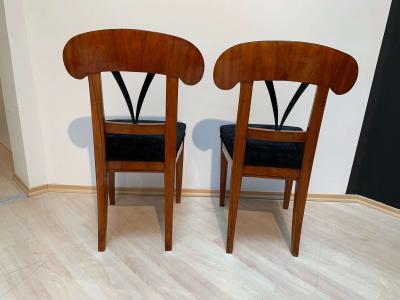 Pair of Biedermeier Shovel Chairs Walnut Ink Painting South Germany ca 1830