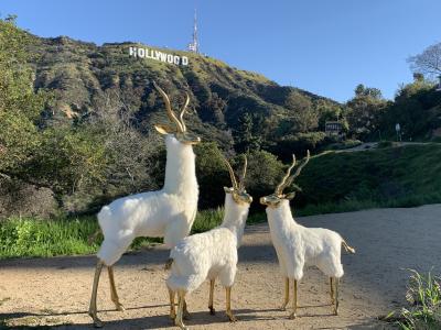 Pair of Brass Gazelle or Antelopes in Sheep Fur