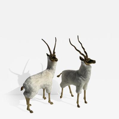 Pair of Brass Gazelle or Antelopes in Sheep Fur