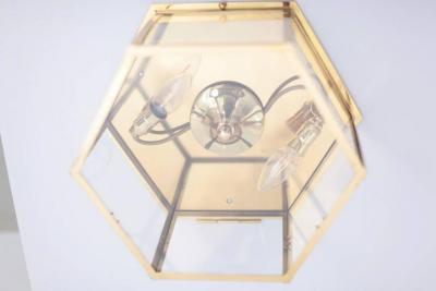 Pair of Brass and Glass Flush Mounts or Light Fixture from a German Library
