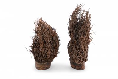 Pair of Chinese Bamboo Root Carved Peacock Sculptures