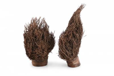 Pair of Chinese Bamboo Root Carved Peacock Sculptures