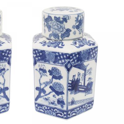 Pair of Chinese Blue White Porcelain Ginger Jars