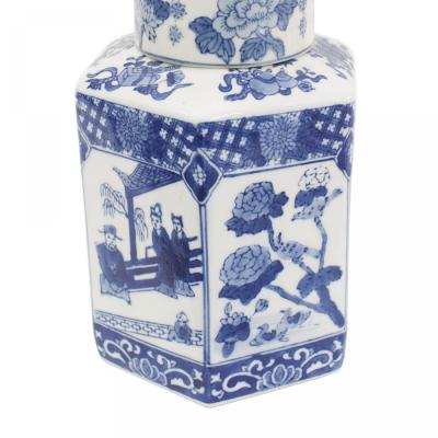 Pair of Chinese Blue White Porcelain Ginger Jars