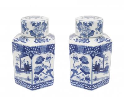 Pair of Chinese Blue White Porcelain Ginger Jars