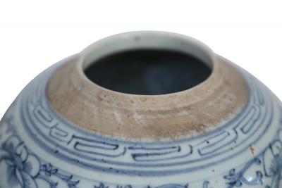 Pair of Chinese Blue and White Floral Lidded Ginger Jar Vases