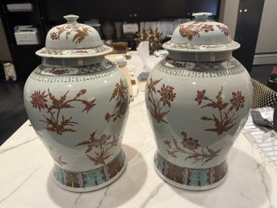Pair of Chinese Famille Vert urns 19c