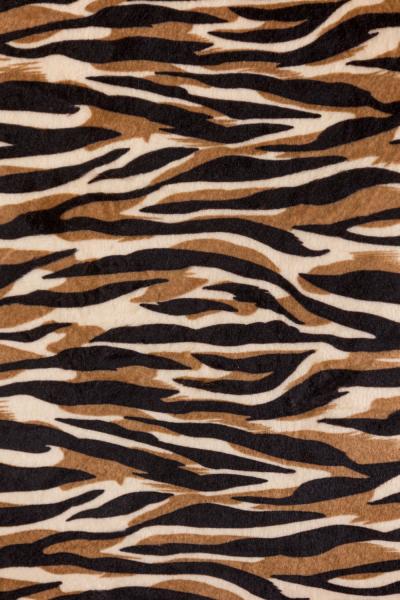 Pair of Contemporary Style Zebra Print Arm Chairs
